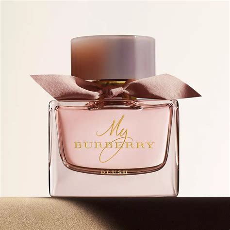 what does burberry classic for women smell like|burberry fragrance for women reviews.